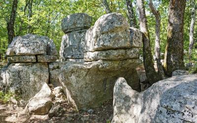 Promenade dans le bois de Paiolive